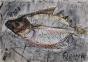 Edouard RIGHETTI  - Original painting - Watercolour and gouache - Fish