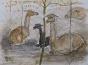 Edouard RIGHETTI  - Original painting - Watercolour - Lama
