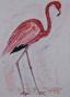 Edouard RIGHETTI  - Original painting - Watercolour -  The pink flamingo