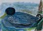 Edouard RIGHETTI  - Original painting - Gouache - The Duck in Vanves