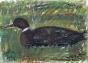 Edouard RIGHETTI  - Original painting - Gouache and pastel - Duck Park Pic in Paris