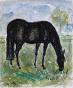 Edouard RIGHETTI  - Original painting - Watercolour - Horse in Blainville