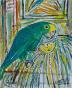 Edouard RIGHETTI  - Original painting - Gouache - Parrot