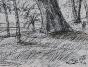 Edouard RIGHETTI  - Original drawing - Ink - The Pine