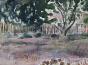 Edouard RIGHETTI  - Original painting - Watercolour - Plain of Argeliers, Occitania