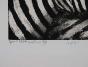 Edouard RIGHETTI - Original Print - Etching -  The zebra