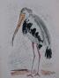 Edouard RIGHETTI  - Original painting - Watercolour Gouache Pastel -  Heron