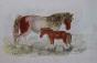 Edouard RIGHETTI  - Original painting - Watercolour  - Horses in Aniane
