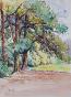 Etienne GAUDET - Original painting - Watercolor - Undergrowth