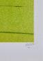 Daniel SCIORA - Original print - Lithograph - Golf Green