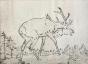 Alexandre Genaille - Original print - Dry tip - The deer