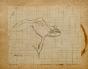 Auguste ROUBILLE - Original drawing - Pencil - Frog 1