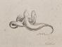 Auguste ROUBILLE - Original drawing - Pencil - Lizard 1