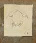 Auguste ROUBILLE - Original drawing - Pencil - Frog 3