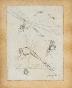 Auguste ROUBILLE - Original drawing - Pencil - Dragonflies