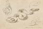 Auguste ROUBILLE - Original drawing - Pencil - Snake 4