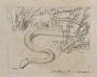Auguste ROUBILLE - Original drawing - Pencil - Snake 5