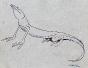 Auguste ROUBILLE - Original drawing - Ink - Lizard 3