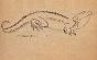 Auguste ROUBILLE - Original drawing - Ink - Iguana