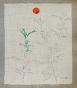 Auguste ROUBILLE - Original drawing - Pencil - Flower 1