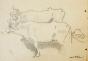 Auguste ROUBILLE - Original drawing - Pencil - Cow 3