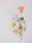 Janine JANET - Original painting - Watercolor - Flowers 5