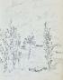 Claude VIETHO - Original drawing - Lead mine - Normandy landscape