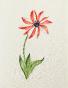 LA ROCHE LAFFITTE - Original painting - Watercolor - Flower 4