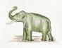 LA ROCHE LAFFITTE - Original painting - Watercolor - Green elephant 2