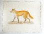 LA ROCHE LAFFITTE - Original painting - Watercolor - Fox
