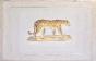 LA ROCHE LAFFITTE - Original painting - Watercolor - Leopard 5
