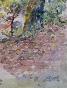Etienne GAUDET - Original painting - Watercolor - Undergrowth 3