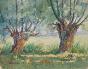 Etienne GAUDET - Original painting - Watercolor - Undergrowth 2
