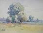Etienne GAUDET - Original painting - Watercolor - Bouquet of trees