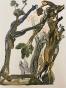 Salvador DALI - Print - Woodcut - The forest of suicides, Dante's divine comedy