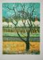 Nathalie CHABRIER -  Original print - Lithograph - The tree