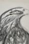 Isa PIZZONI - Original print - Lithograph - The eagle
