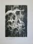 Jean BREANT - Original print - Signed lithograph - Rouen Cathedral