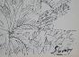 Robert SAVARY - Original drawing - Ink - Cedars in Grasse