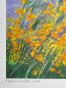 Ella FORT - Original print - Lithograph - The lavender field