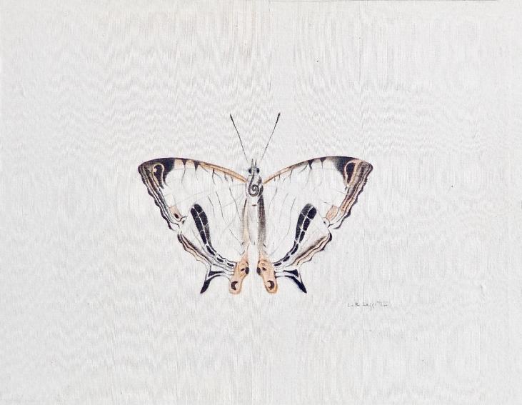 LA ROCHE LAFFITTE - Peinture originale - Aquarelle - Papillon blanc