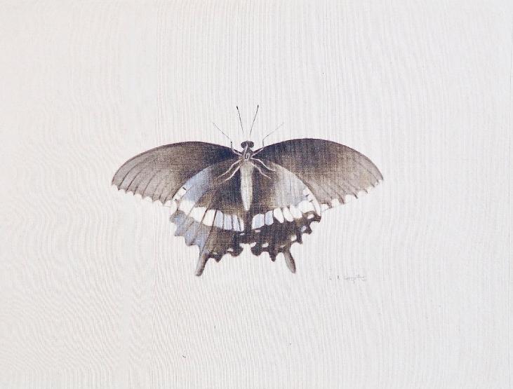 LA ROCHE LAFFITTE - Peinture originale - Aquarelle - Papillon noir