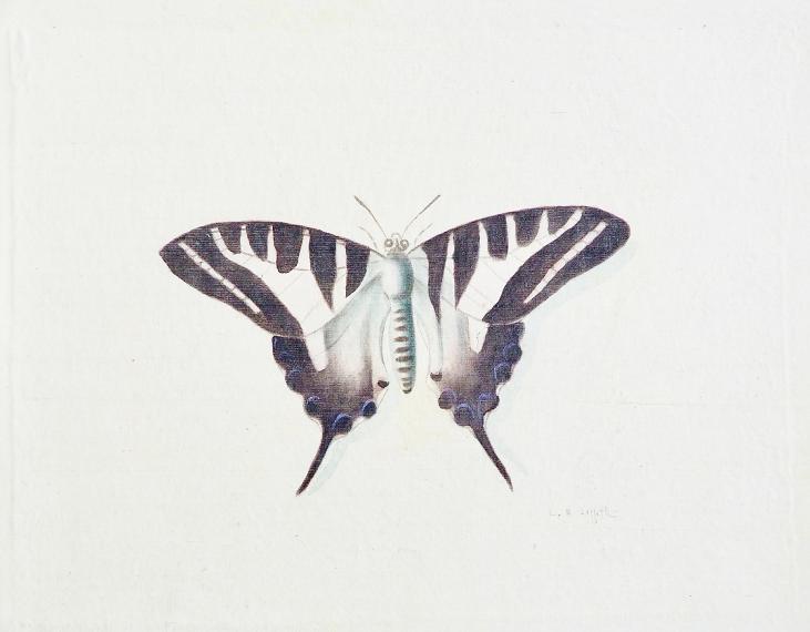 LA ROCHE LAFFITTE - Peinture originale - Aquarelle - Papillon noir et bleu ciel