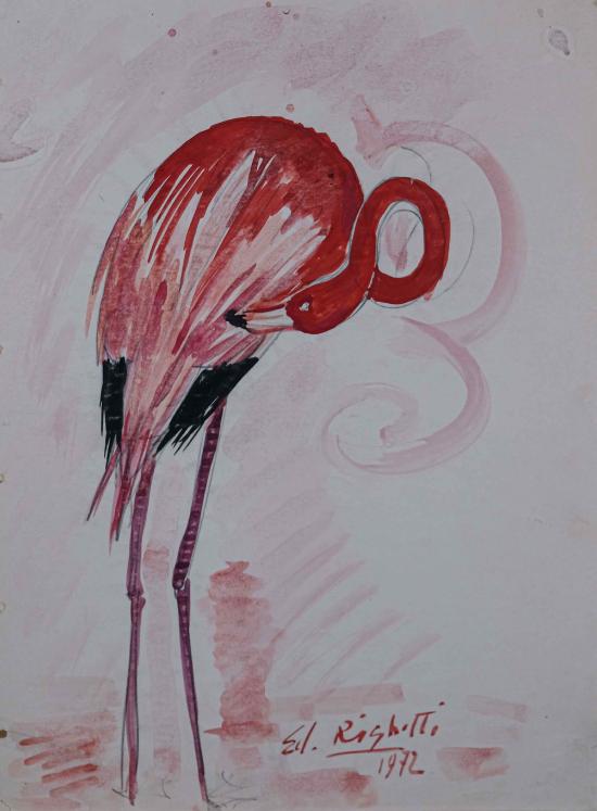 Edouard RIGHETTI - Peinture originale - Aquarelle - Le flamant rose