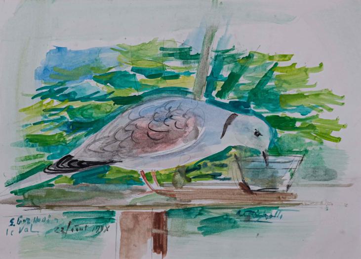 Edouard RIGHETTI - Peinture originale - Aquarelle - L'oiseau buvant