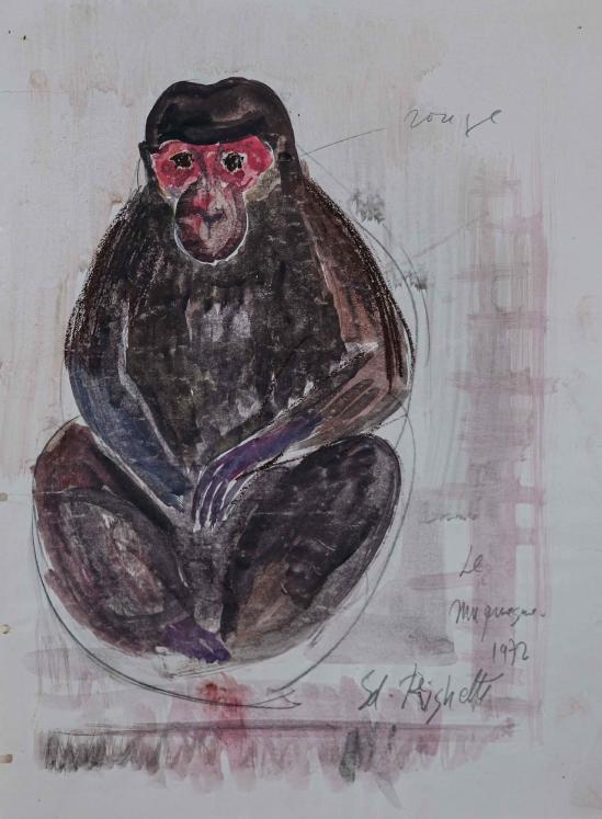 Edouard RIGHETTI - Peinture originale - Aquarelle - Le macaque