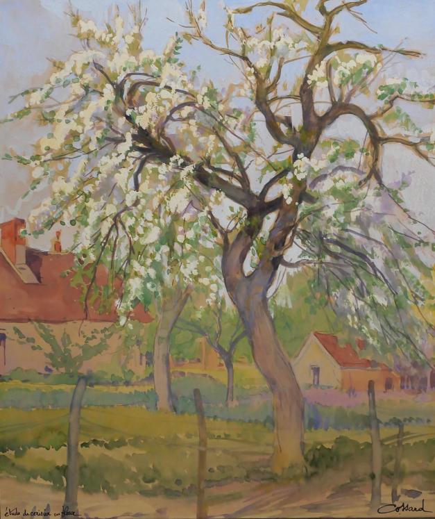 Adolphe COSSARD - Peinture originale - Gouache - Cerisier en fleurs