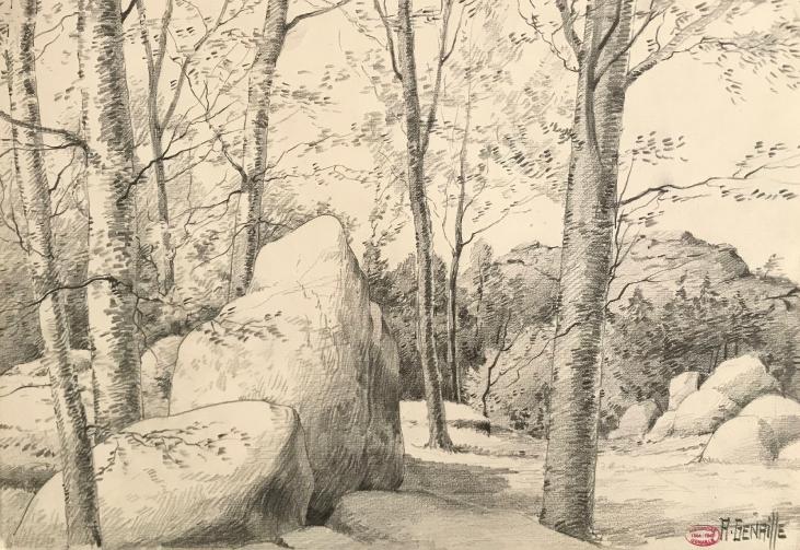 Alexandre Genaille - Dessin original - Crayon - Forêt de Fontainebleau 1