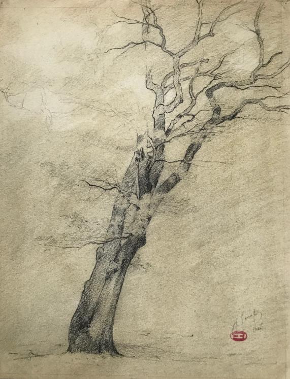 Alexandre Genaille - Dessin original - Crayon - Etude d'arbre 2