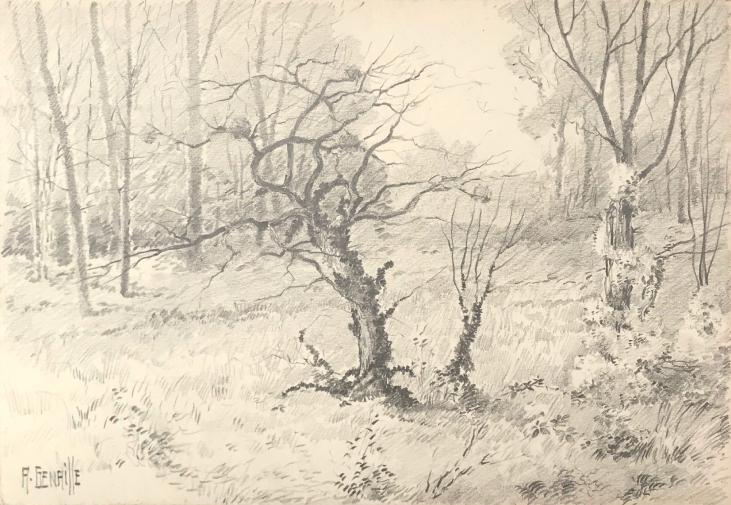 Alexandre Genaille - Dessin original - Crayon - Clairière en forêt de Fontainebleau
